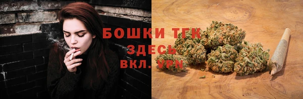 ПСИЛОЦИБИНОВЫЕ ГРИБЫ Алексеевка