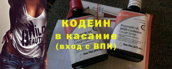 эйфоретик Алзамай