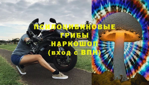 ПСИЛОЦИБИНОВЫЕ ГРИБЫ Алексеевка