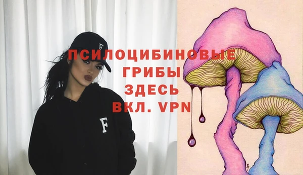 эйфоретик Алзамай